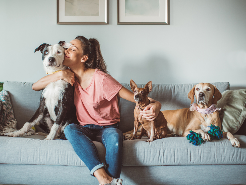 woman on sofa with three dogs